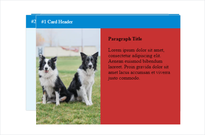 A carousel with a 25 radius