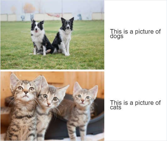 Example of the wiz-card-list component